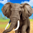 プログラムのアイコン：Talking Elephant