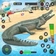 Programikonen: Angry crocodile beach att…