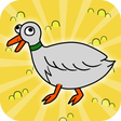 程序图标：Duck Evolution Life