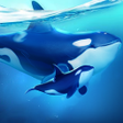 プログラムのアイコン：World of Water