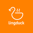 Programikonen: lingduck 拎得 - 外賣平台