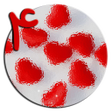 Icon of program: Romantic Story 4