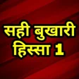 程序图标:सही बुखारी हिस्सा 1 Sahih…