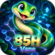 Programikonen: 85HVane