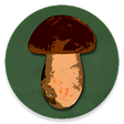 Programikonen: Book of Mushrooms