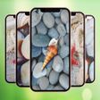 Programikonen: Seashell Wallpaper Aesthe…