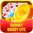 Programikonen: Rummy buddy lite