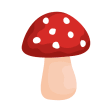 Shroomify - Mushroom Identific