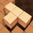 Programikonen: Wood Block Puzzle