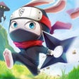 ไอคอนของโปรแกรม: Ninja Rabbit