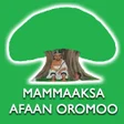 Icoon van programma: Mammaaksa Afaan Oromoo