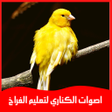 プログラムのアイコン：اصوات الكناري لتعليم الفر…