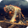 Icon of program: Tiger Wallpaper