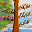 Иконка программы: Birds Sort Color- Puzzle …