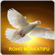 程序图标：Roho Mtakatifu