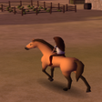 أيقونة البرنامج: Horse Riding