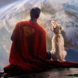 Icoon van programma: Superman 2025 Live Wallpa…