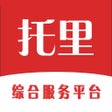 Ikon program: 托里同城