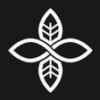 Infinity Surf icon