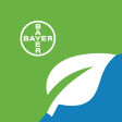 Mi cultivo con Bayer