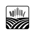 Icon of program: Hektar Wiedzy