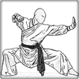 程序图标：Kungfu movement