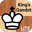 程序图标：Chess - Kings Gambit