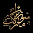 程序图标：Syria Market