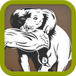 Icon of program: Gundog