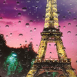 Programikonen: Rainy Paris Live Wallpape…