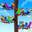 Programın simgesi: Color Stacky Bird Sort Pu…