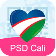 プログラムのアイコン: PSD Cali