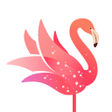 Symbol des Programms: YOME LIVE