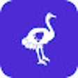 Icoon van programma: Ostrich