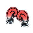 프로그램 아이콘: Boxing News  Results