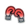 Ikon program: Boxing News  Results
