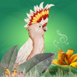 Programikonen: Animal Sound Ringtones