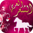 Icon of program: Love poetry for chat : Ni…