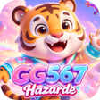 프로그램 아이콘: GG567Hazarde