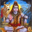 Symbol des Programms: Shiva Sahasranamam