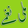 程序图标:Pakistani Milli Naghmay