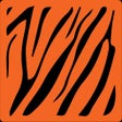 Icon of program: MyBL