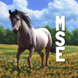 プログラムのアイコン: Maple Springs Eventing Ne…