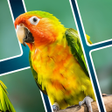 Иконка программы: Jigsaw Fun: Relaxing Soli…