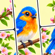 Programın simgesi: Jigsaw Fun: Relaxing Soli…