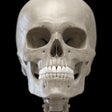 Icon of program: Skeleton 3D Anatomy