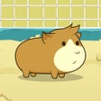 ไอคอนของโปรแกรม: Guinea Pig Evolution - Br…