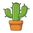 ไอคอนของโปรแกรม: Cactus TV