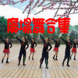 Programikonen: 廣場舞合集