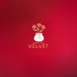 ไอคอนของโปรแกรม: VelVet